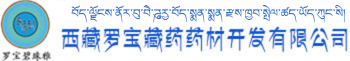 手机站